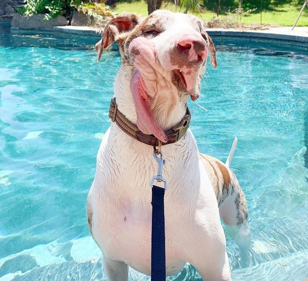 Extra image from article