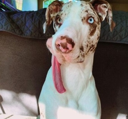 Now, two years old and full of life, Arr...