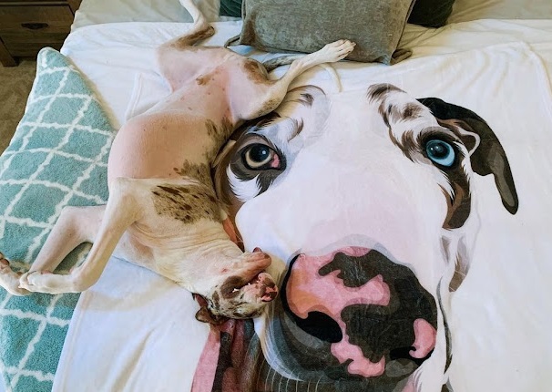 Extra image from article